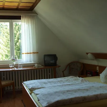 Aura Im Thuringer Wald * Georgenthal (Thuringia)